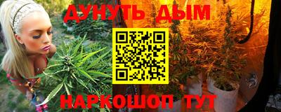 МДПВ Канаш