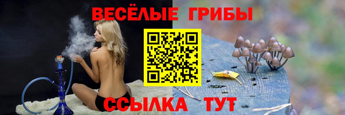 Курганинск  Галлюциногенные грибы Psilocybe  Псилоцибиновые грибы Cubensis  Вход с VPN 